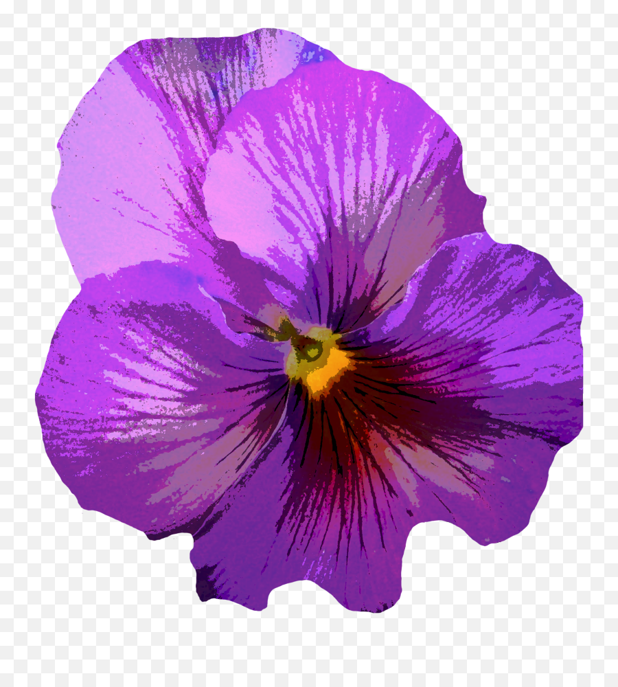 Violet Pansy Flower Clipart Free Image - Lovely Emoji,Flower Clipart