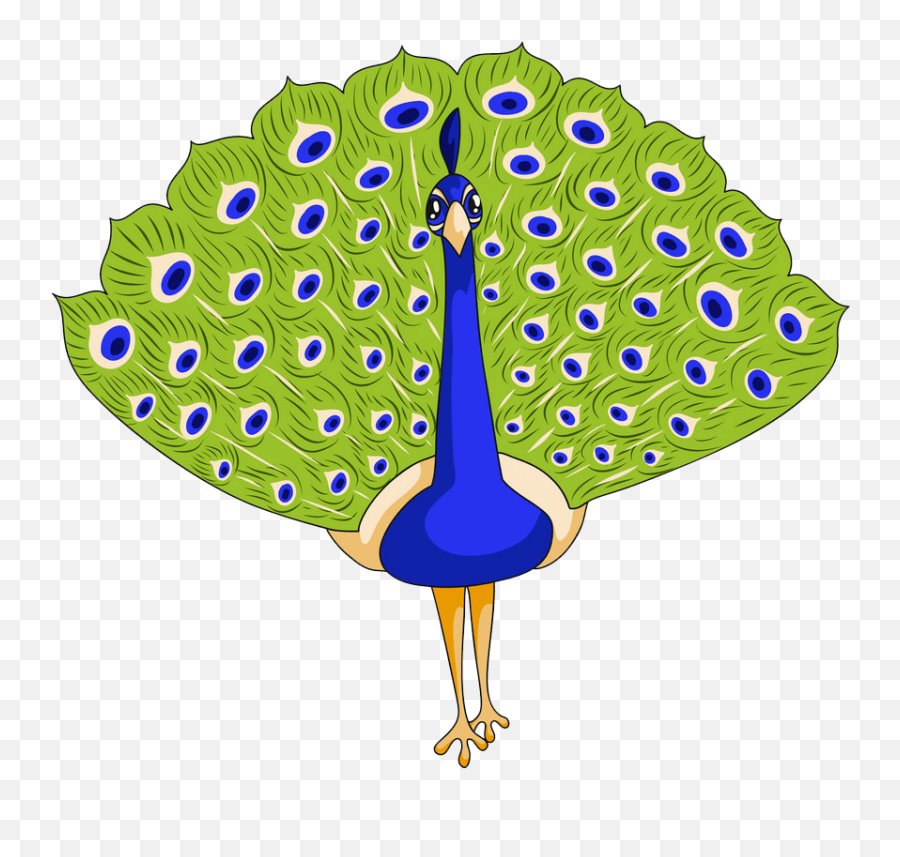 Lovely Peacock Clipart Transparent - Exotic Birds Cartoon Emoji,Peacock Clipart