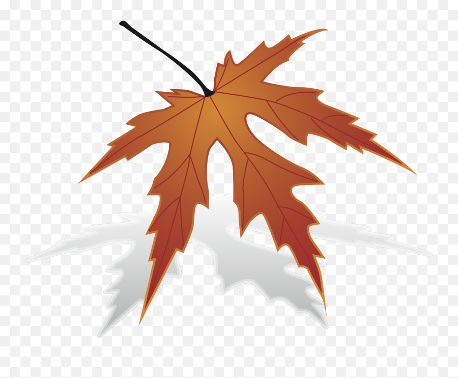 Maple Clipart Japanese Maple - Maple Leaf Transparent Lovely Emoji,Maple Leaf Clipart