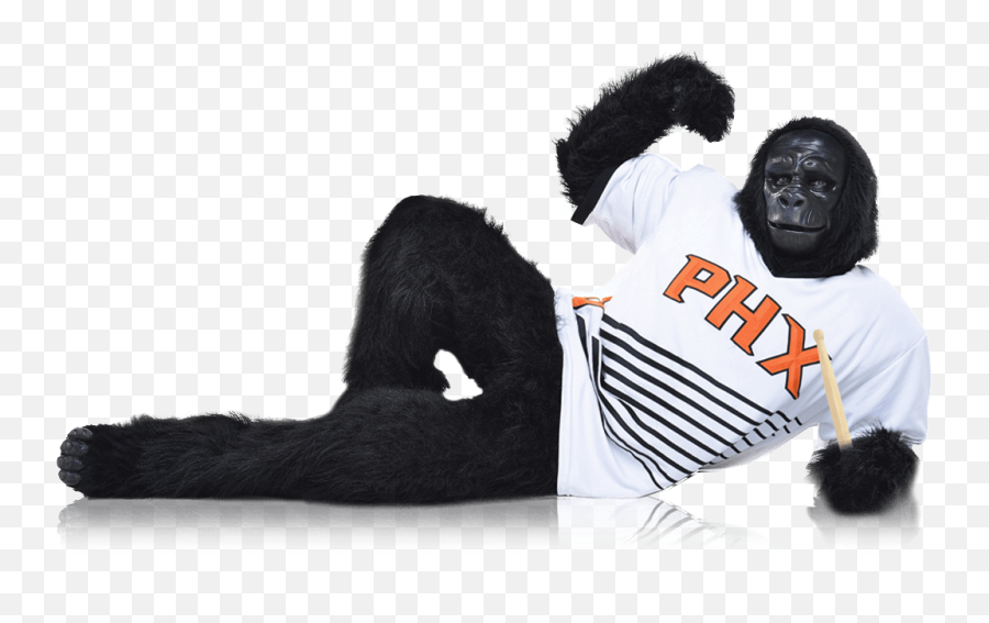 Go Crazy Phoenix Suns - Phoenix Suns Gorilla Png Emoji,Gorilla Png