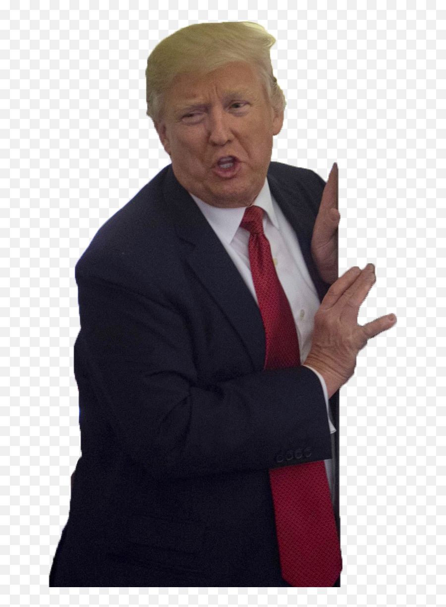 Donald Trump President Of The United - Donald Trump Full Body No Background Emoji,Trump Png