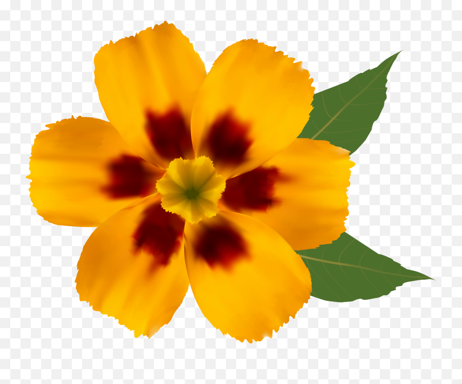 Download Flower Free Png Transparent - Transparent Background Real Flower Clipart Emoji,Flower Clipart