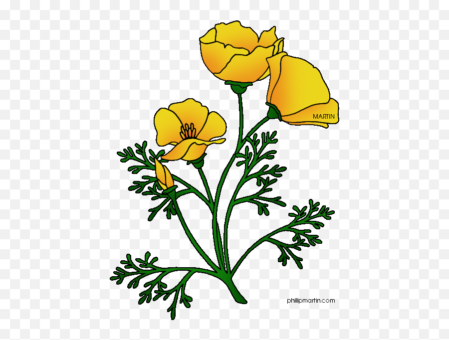 California Poppy - California Poppies Clip Art Emoji,California Clipart
