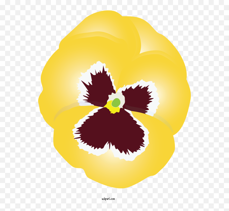 Flowers Yellow Flower Pansy For Pansy - Pansy Emoji,Yellow Flower Transparent