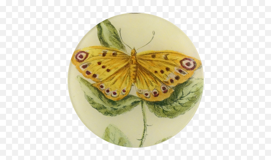 Yellow Butterfly John Derian Company Inc Emoji,Yellow Butterfly Png