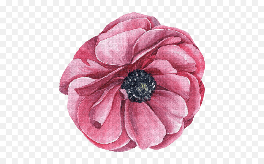 Vintage Pink Flower Vintage Pink Flower - Picmix Emoji,Flower Tumblr Png