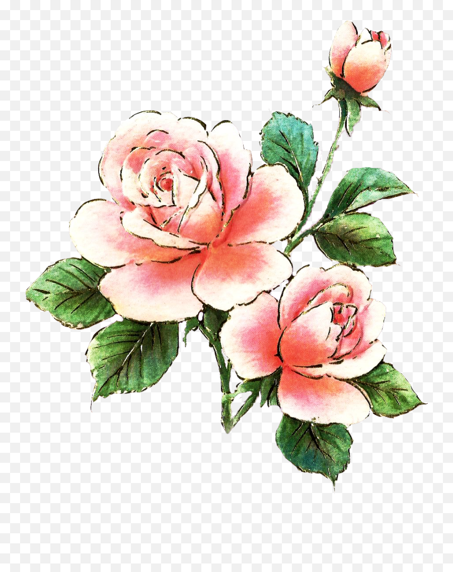 Pink Rose Clipart Dozen Rose - Pink Roses Clip Art Free Pink Rose Clipart Emoji,Rose Clipart