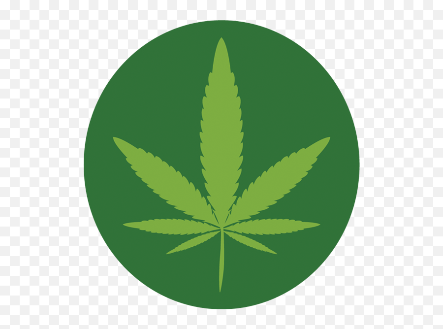 Your Guide To Marijuana In Illinois Chicago News Wttw Emoji,Weed Smoke Png