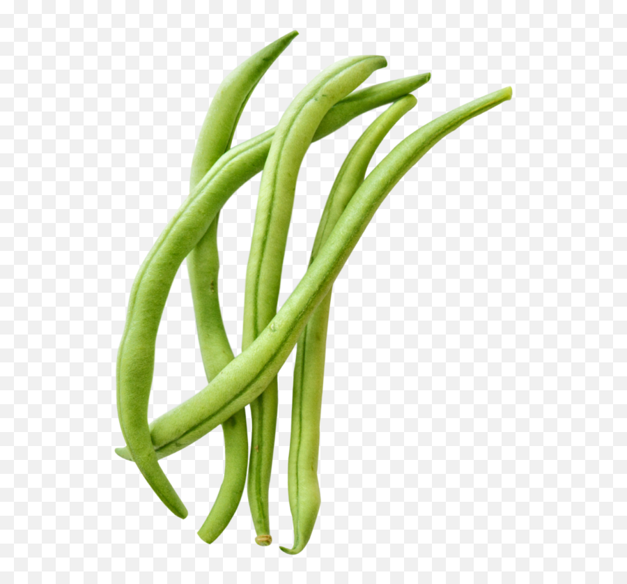 Transparent Green Bean Clipart Emoji,Green Beans Png