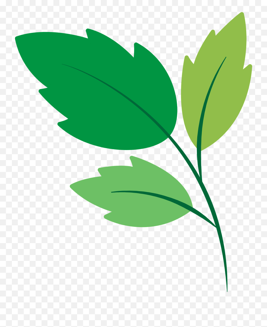 Green Leaves Clipart Free Download Transparent Png Creazilla Emoji,Foliage Clipart