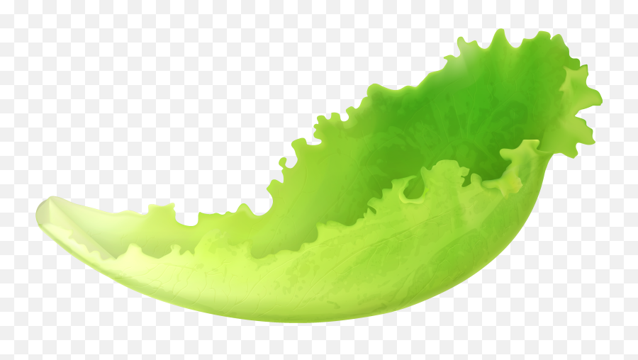 Lettuce Clipart - Transparent Background Lettuce Clipart Emoji,Lettuce Clipart