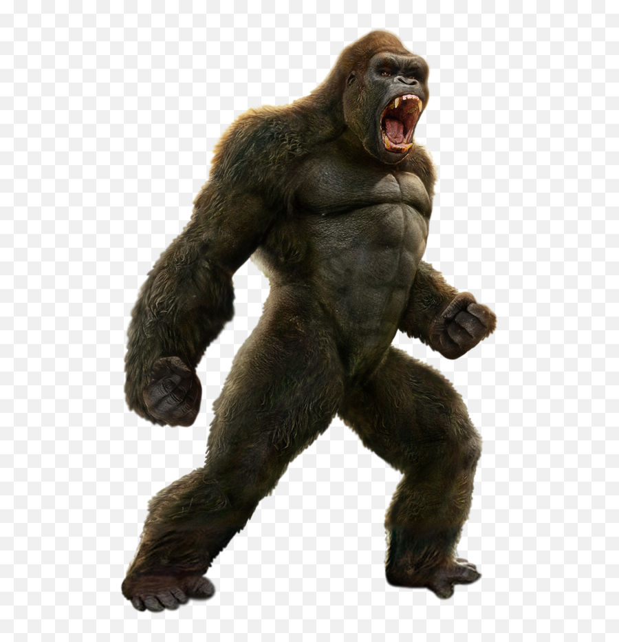 Are Godzilla And King Kong The Last Of Their Kinds - Quora King Kong Png Transparent Emoji,Godzilla King Of The Monsters Logo