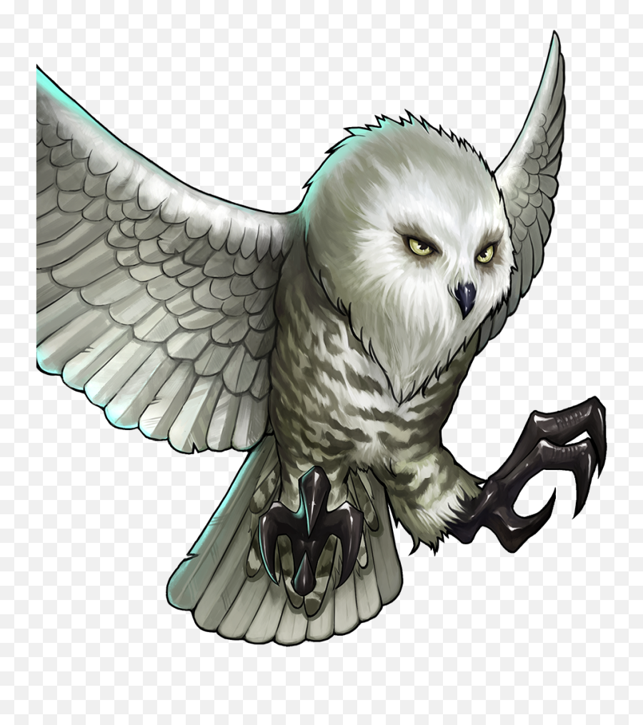 Snowy Owl Gems Of War Wikia Fandom - Owl Transparent Clip Art Emoji,Owl Png