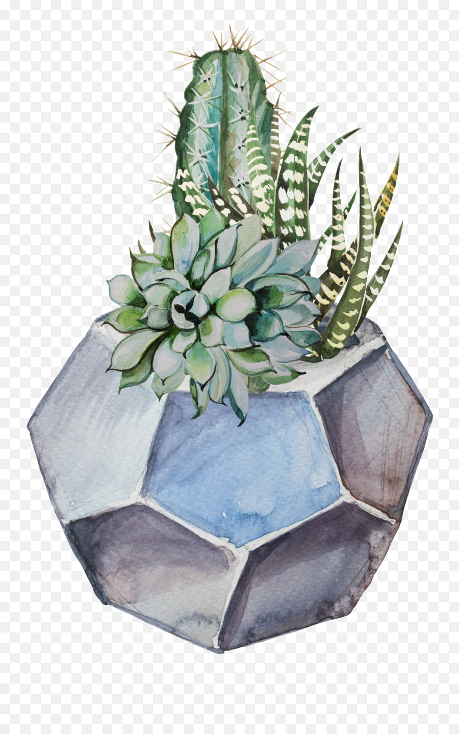 Download Hand Painted Fresh Plant Potted Transparent - Transparent Potted Cactus Emoji,Cactus Transparent Background