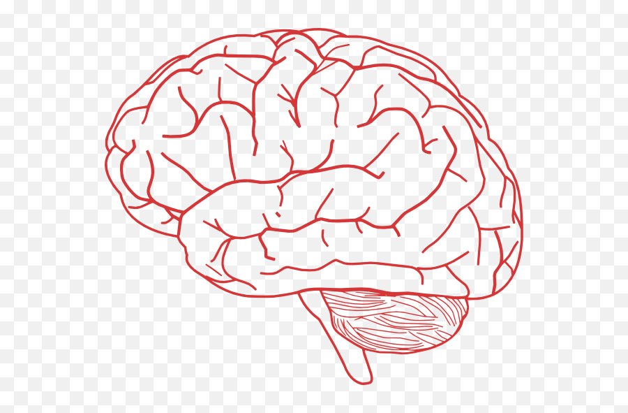 Free Brain Png Download Free Clip Art - Brain Clip Art Emoji,Brain Png