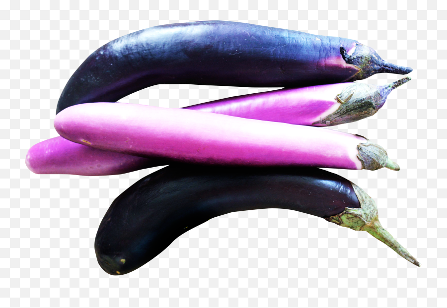 This Png File Is About Brinjal Eggplant Vegetables - Eggplant Emoji,Eggplant Clipart