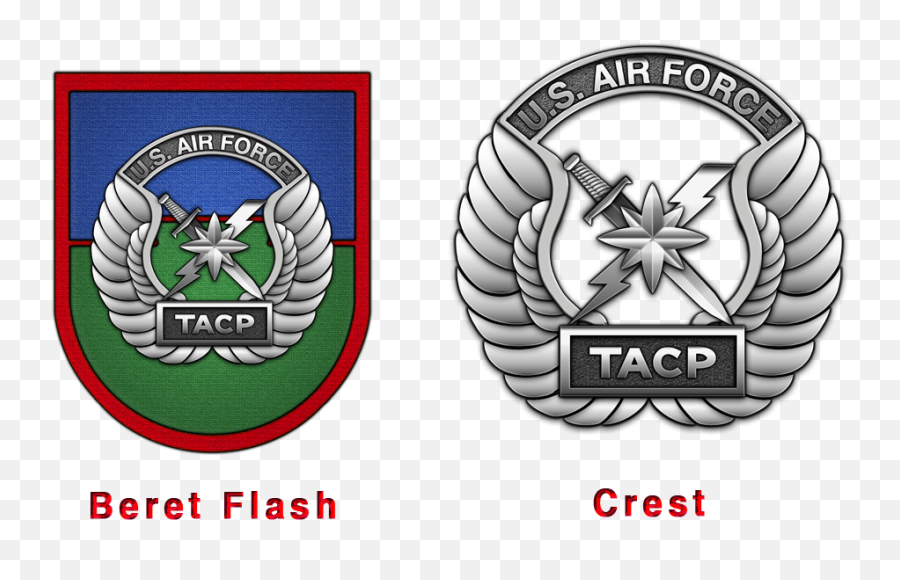 Military Insignia 3d Usaf Tactical Air Control Party - Tacp Insignia Emoji,Tactical Logos