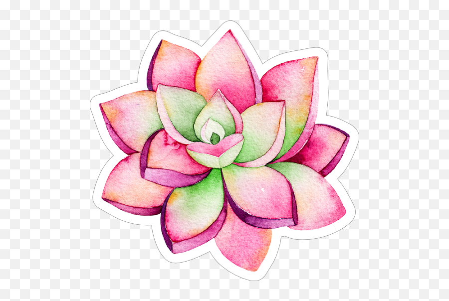 Pink And Green Watercolor Succulent Sticker - Succulent Sticker Emoji,Succulents Clipart