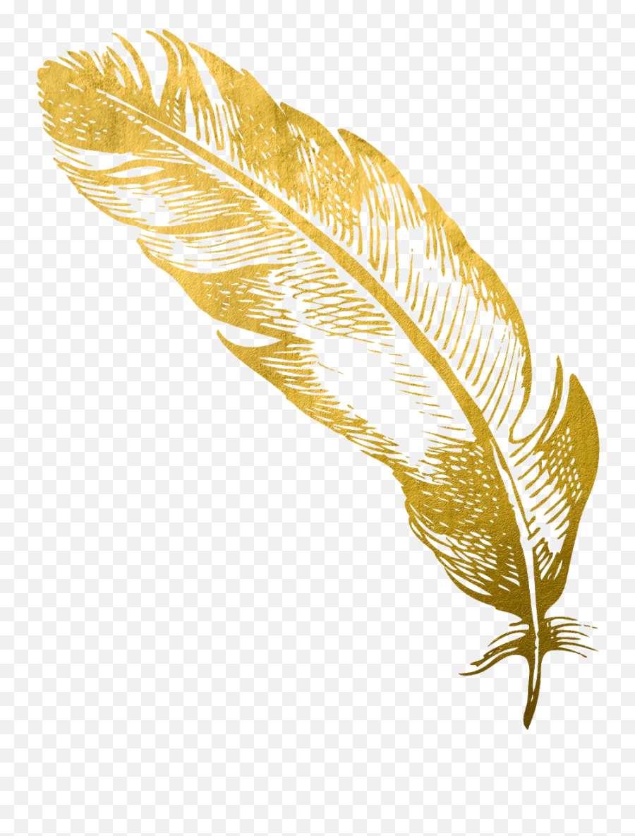 Feather Clipart Png - Gold Feather Feathers Native Boho Free Feather Gold Vector Emoji,Feather Clipart