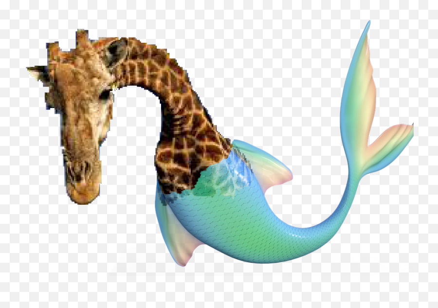 Fiancé Asked For A Mermaid Giraffe And This Is What I Came Emoji,Mermaid Fin Clipart