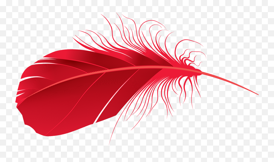 Feather Png Download Png Image With - Transparent Background Colorful Feather Png Emoji,Feather Png