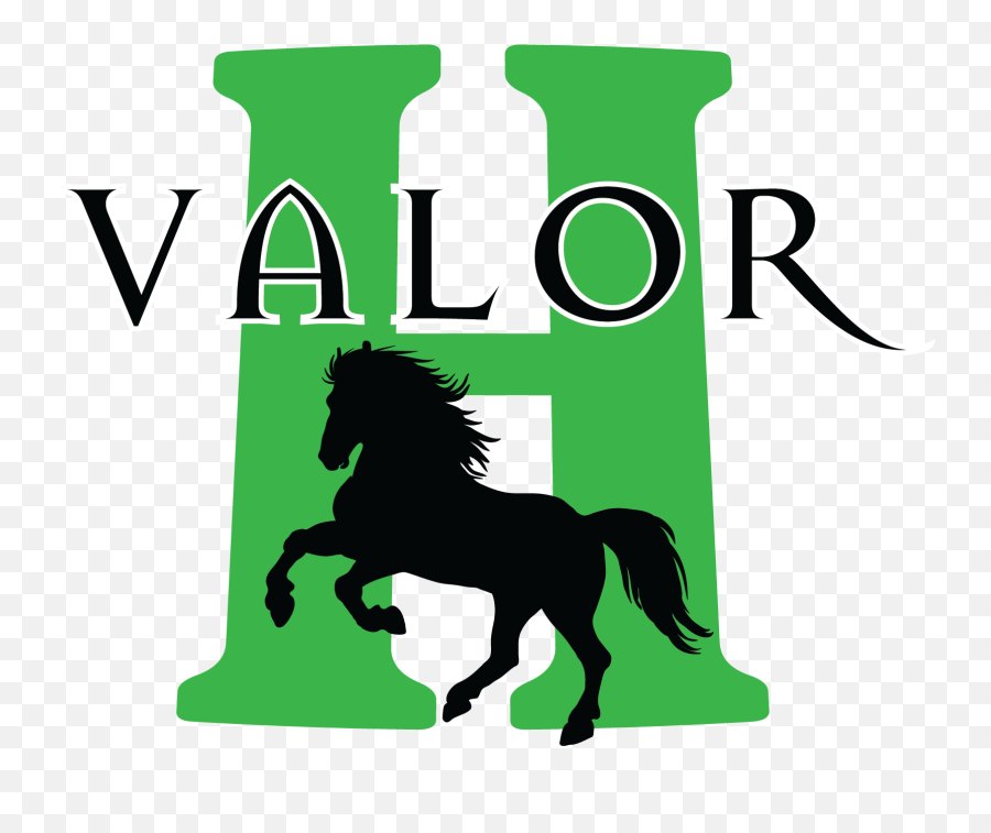 Valor H Products Whole Ingredient Premium Fuel For Emoji,Team Valor Logo