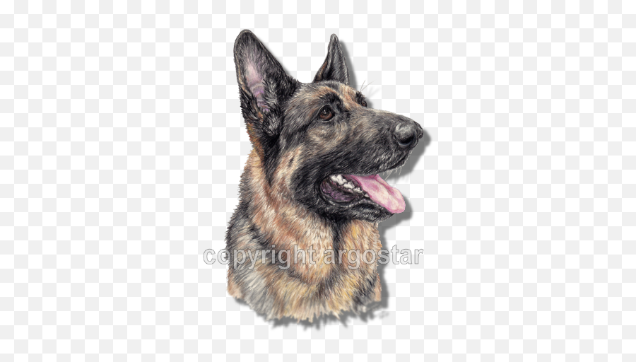 Argostar Dog Art - Old German Shepherd Dog Emoji,German Shepherd Clipart