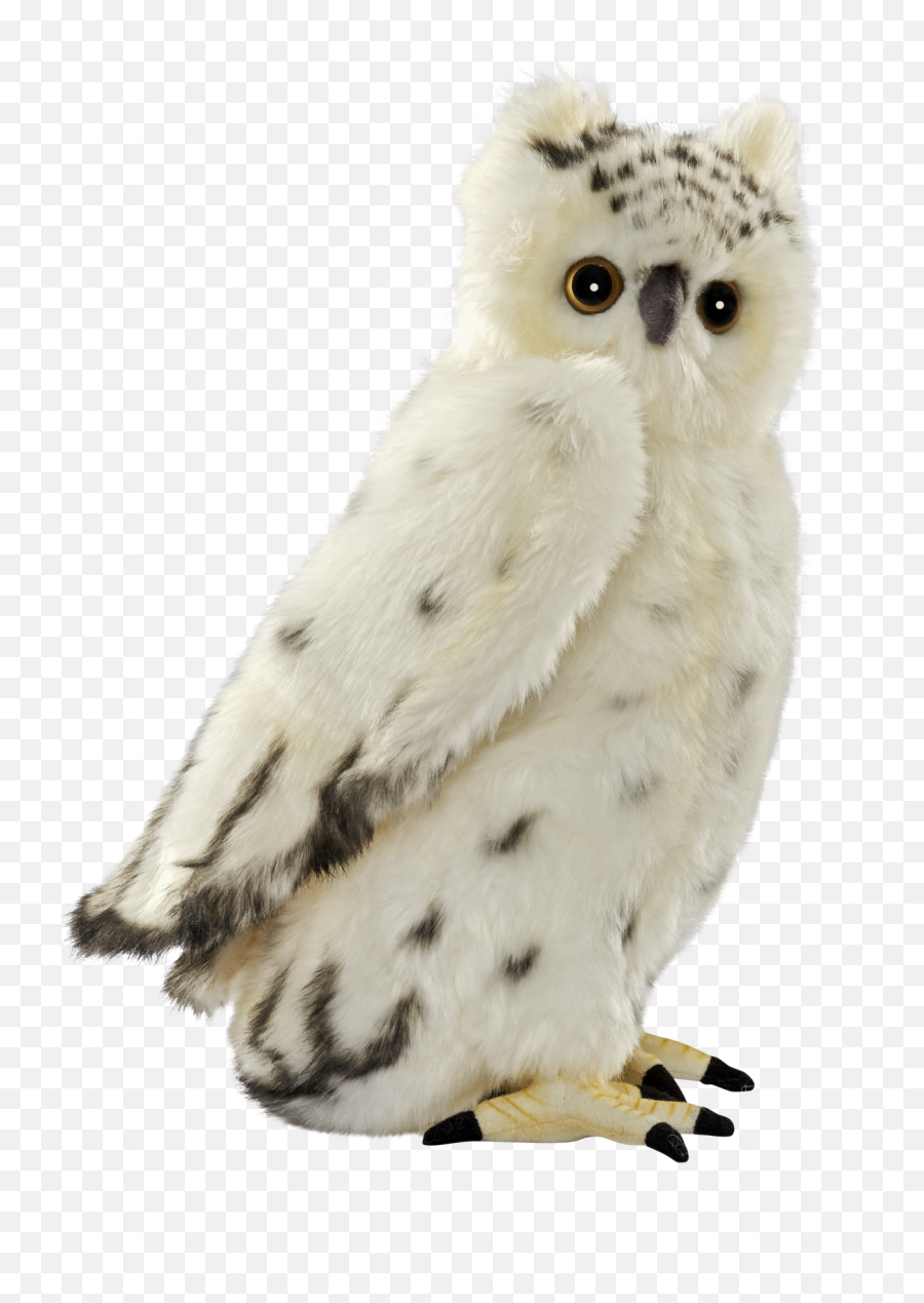 Snowy Owl Bird Stuffed Animals U0026 Cuddly Toys - Owl Png Chouette Blanche Peluche Emoji,Owl Transparent Background