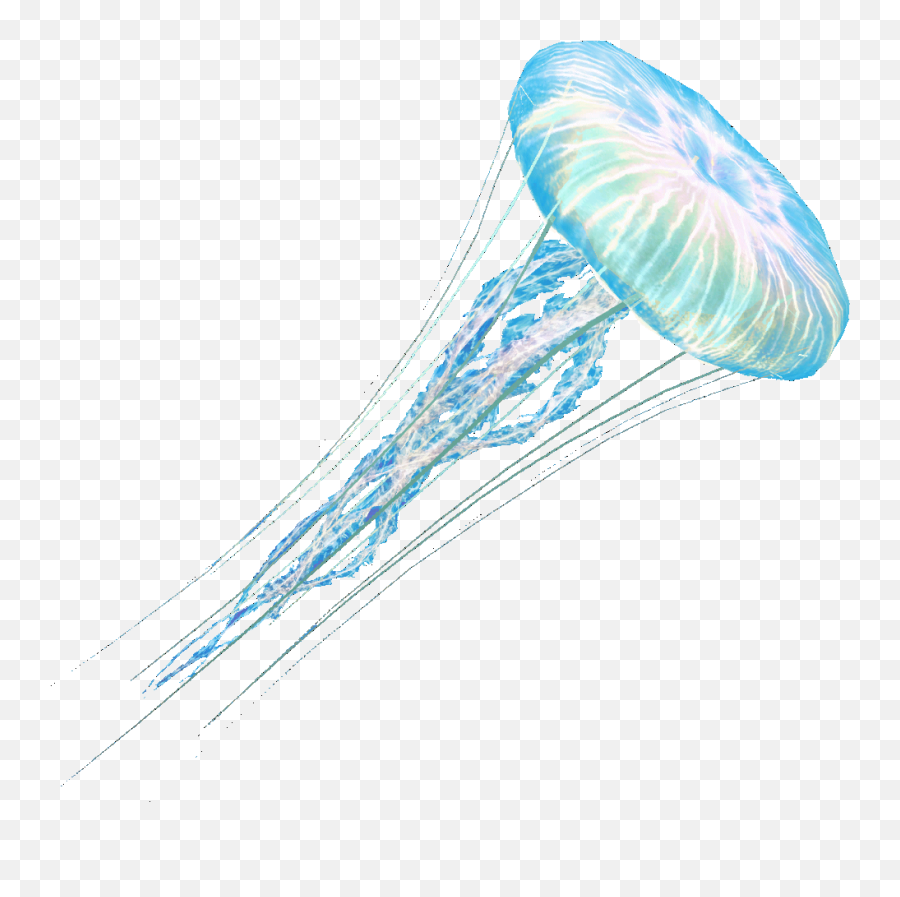Jellyfish - Transparent Background Transparent Jellyfish Emoji,Jellyfish Png