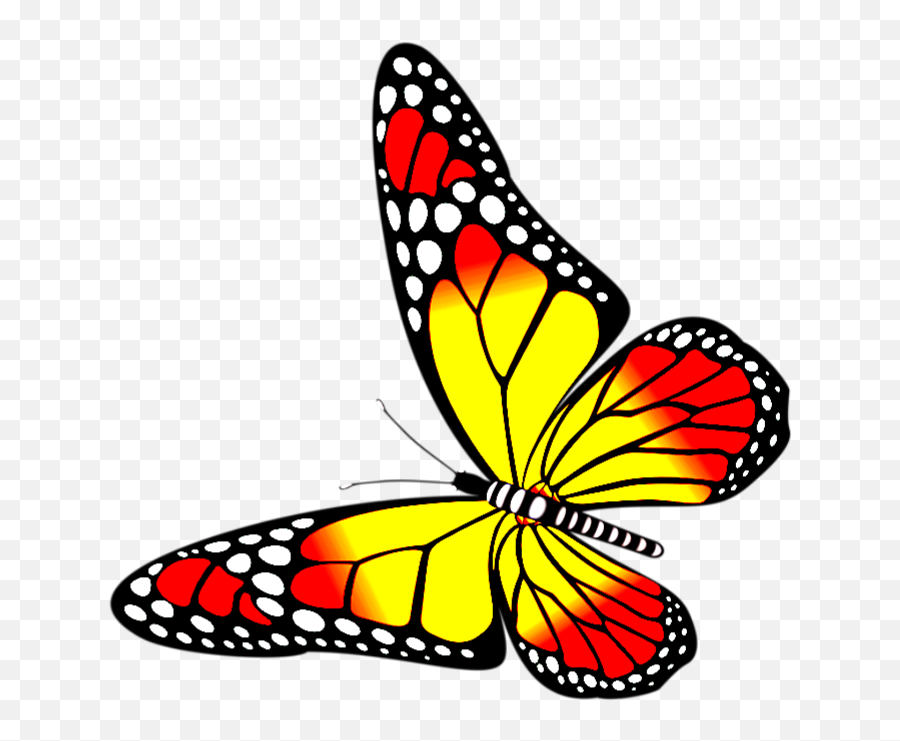 Butterfly Png Image Transparent Red And Emoji,Yellow Butterfly Png