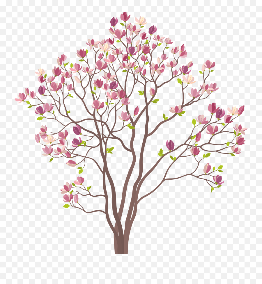 Magnolia Trees High Quality Images Emoji,Magnolia Clipart