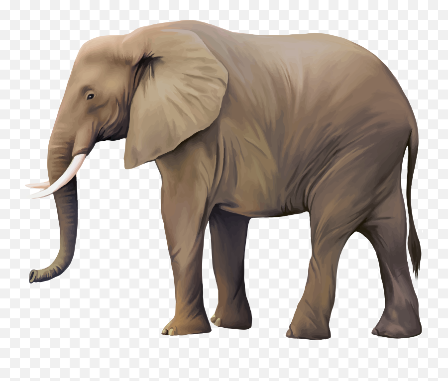 Free Transparent Animal Png Download - African Elephant Clipart Realistic Emoji,Animal Png