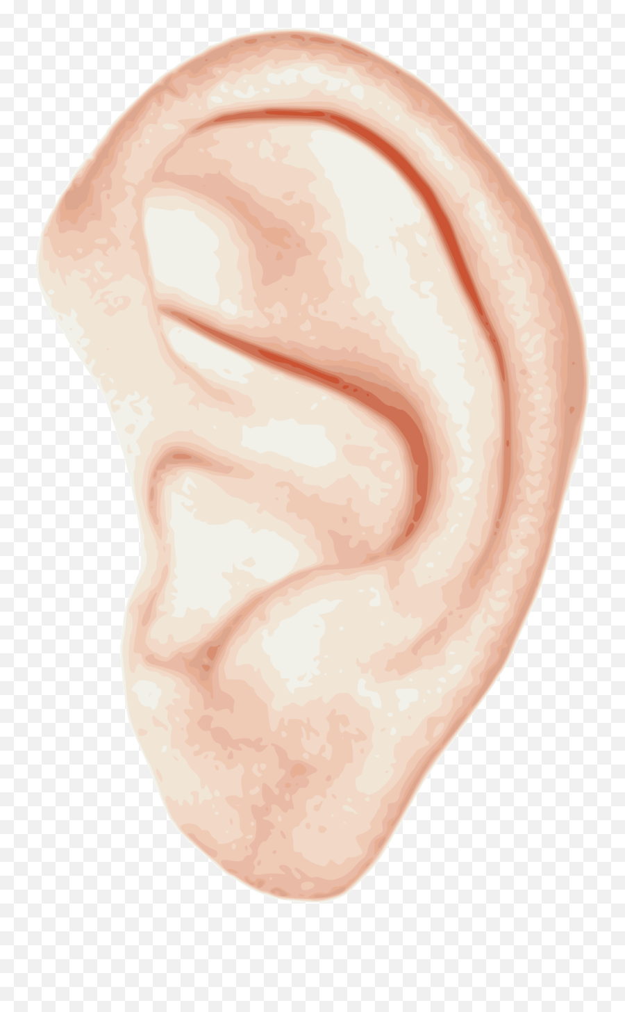 Human Ear Png Svg Clip Art For Web - Single Ears Emoji,Ear Clipart
