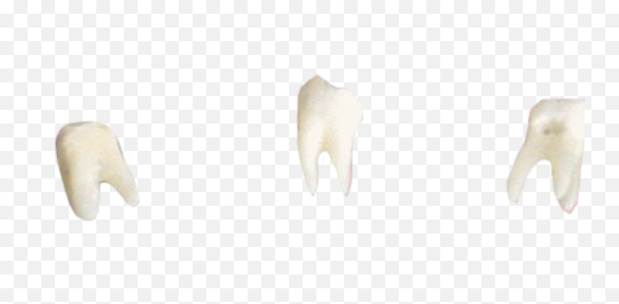 Teeth Gore Vintage 286390581011211 By Funeralkitten Emoji,Gore Png