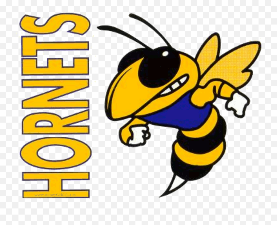Hornet Mascot Logos - Fullerton Hornet Emoji,Hornets Logo