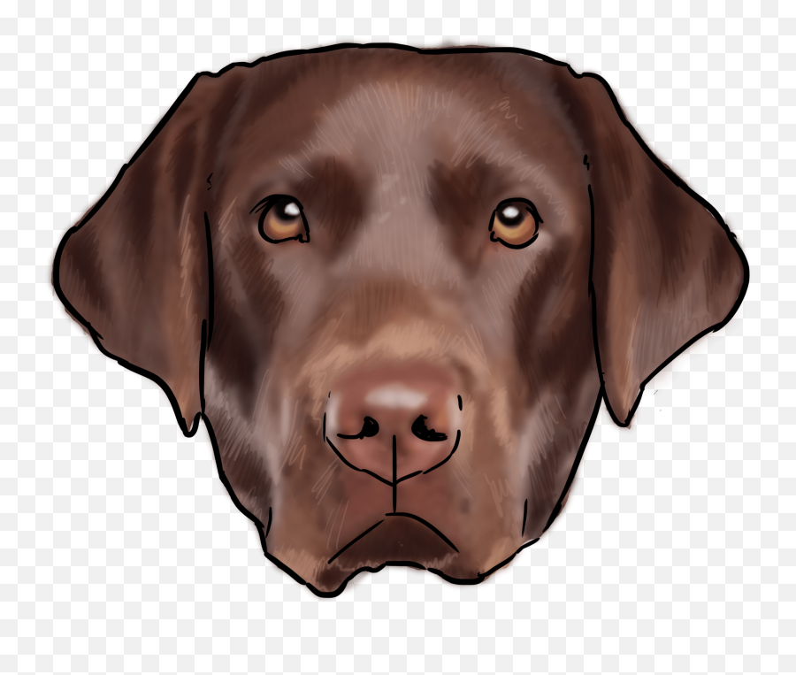 Lab Dog Transparent - Brown Chocolate Lab Cartoon Emoji,Dog Transparent