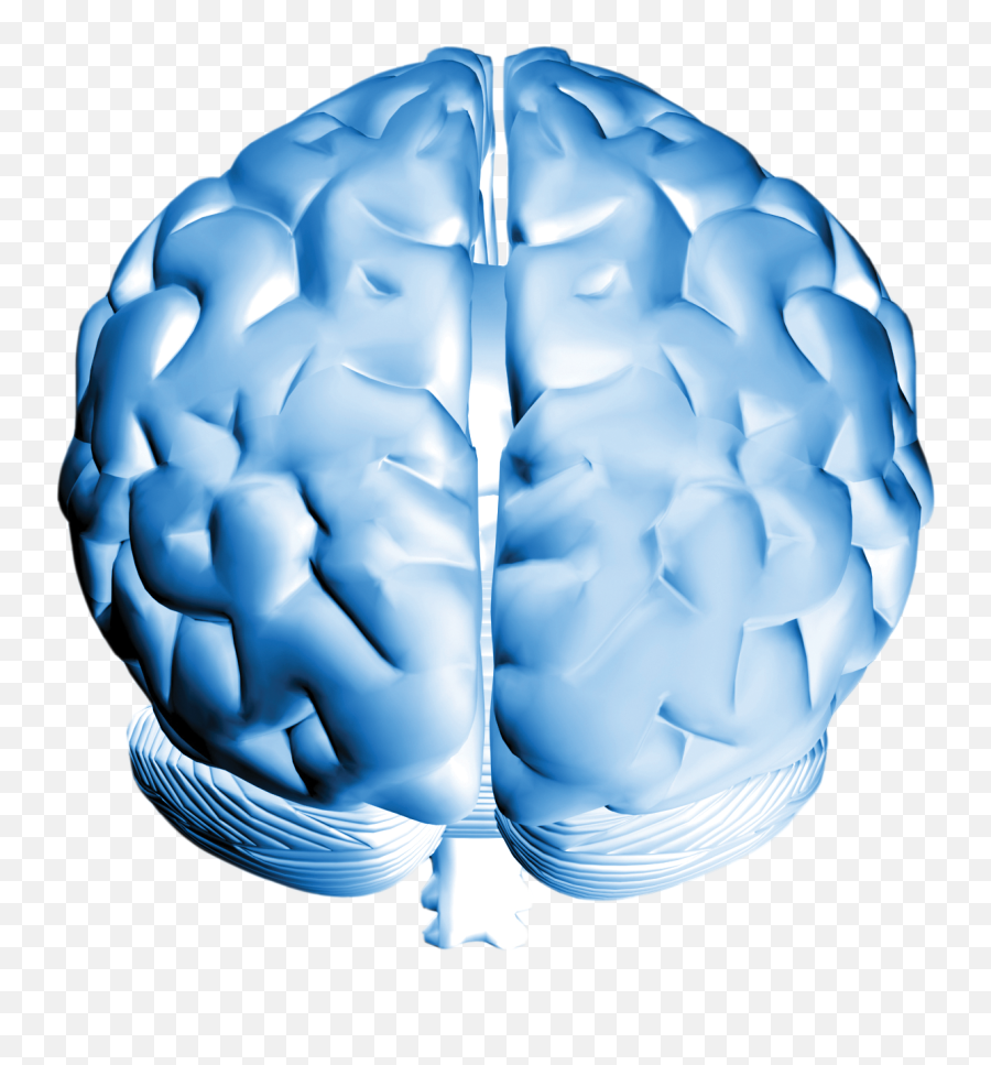 Brain Png Image With No Background - Brain Emoji,Brain Png