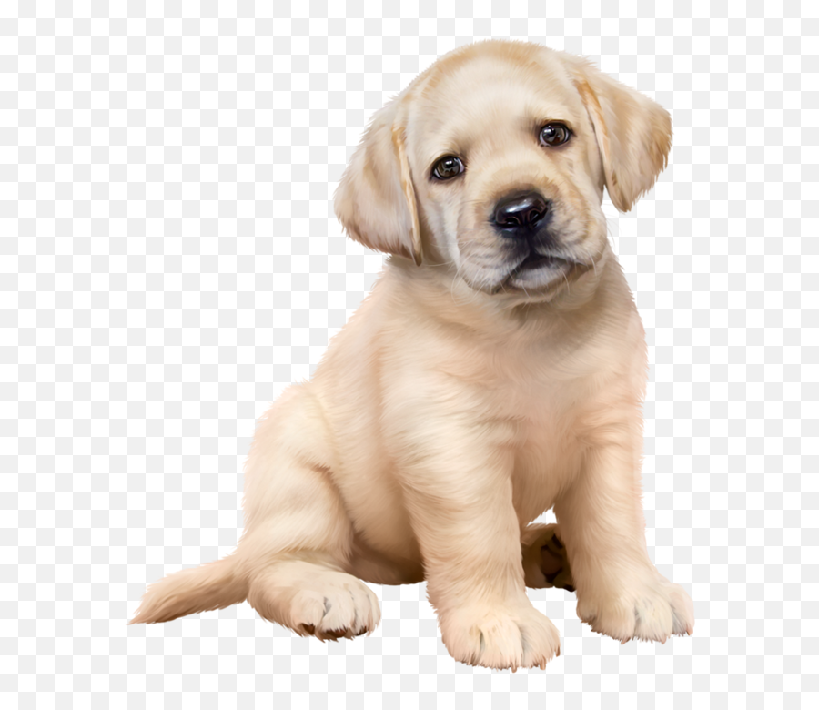 Dogs Dogs And Puppies Pet Dogs - Golden Terrier Dog Puppy Emoji,Labrador Clipart