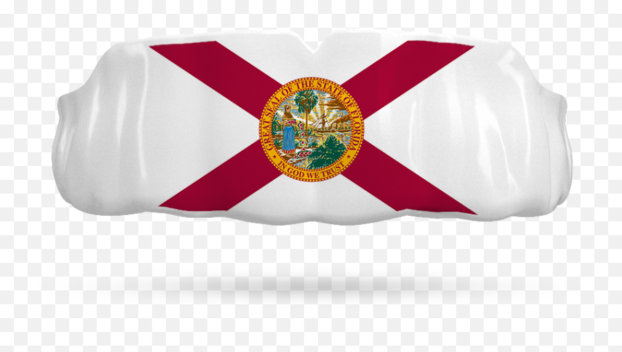 Florida State Flag - Name The State Flag Worksheet Emoji,Florida State Logo