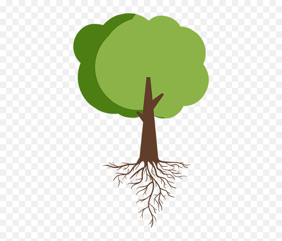 Tree With Roots - Tree With Root Clipart Png Emoji,Tree Clipart