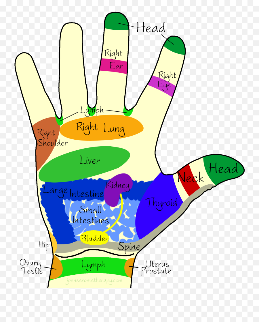 Right Hand - Right Palm Reflexology Clipart Full Size Emoji,Hand Palm Png