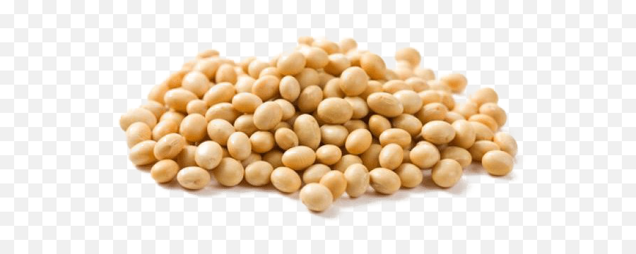 Soybean Png High Quality Image Png All Emoji,Soybean Clipart