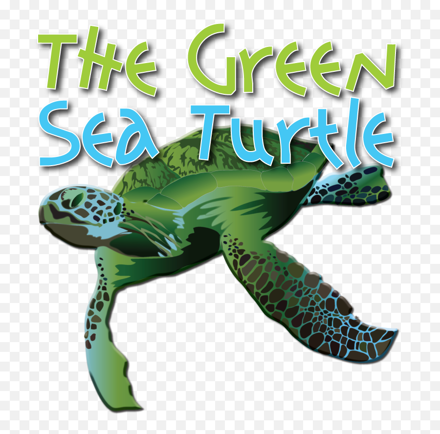 The Green Sea Turtle Logo - Loggerhead Sea Turtle Emoji,Turtle Logo