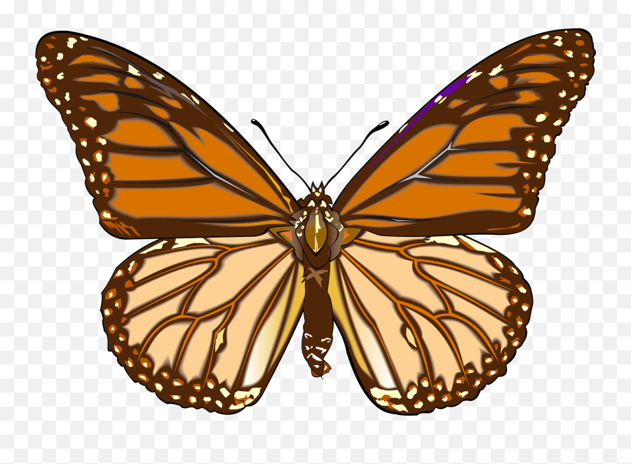 Brown Butterfly Clipart - Butterfly Orange Emoji,Monarch Butterfly Clipart