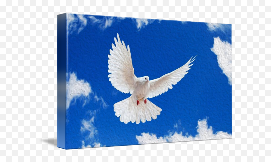 White Dove On Sky By John Tribolet - Spirit Of Truth Emoji,White Dove Png