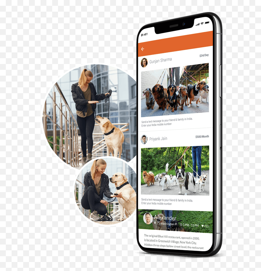 Launch Your Uber For Dog Walker App On - Demand Dog Walking Emoji,Dog Walker Clipart