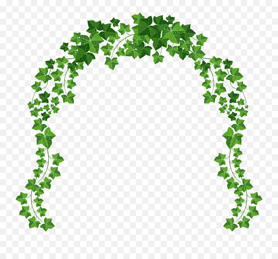 Download Vine Png Picture Gallery - Transparent Transparent Background Vines Emoji,Vine Png