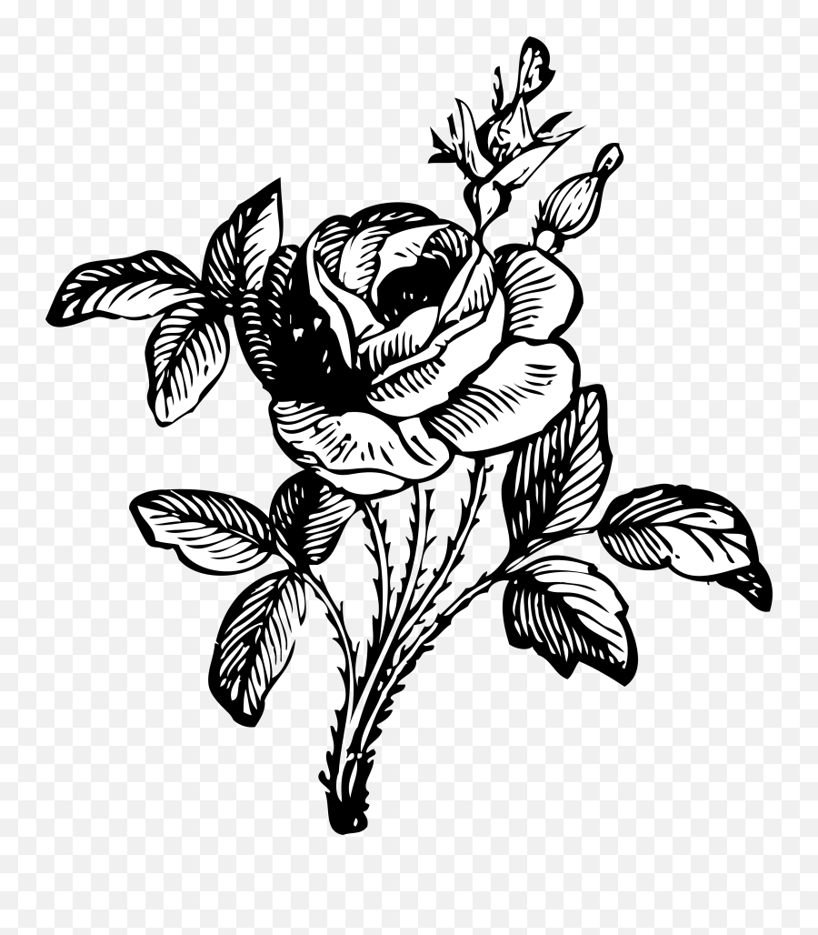 Rose Black And White Flower Clipart - Flower Bouquet Clipart Black And White Png Emoji,Flower Clipart