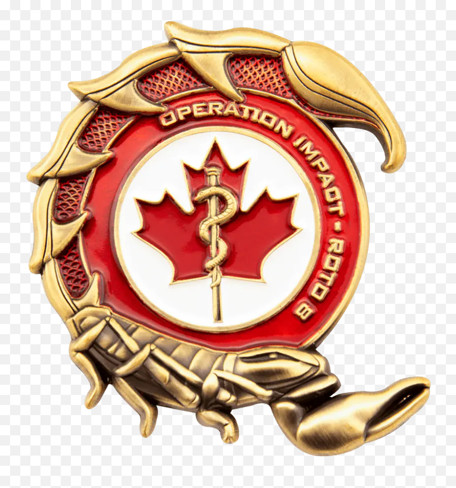 Canadian Armed Forces Challenge Coins - Signature Coins Solid Emoji,Special Forces Logo