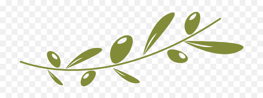 Download Greenland Olive Oil - Olive Oil Branch Png Emoji,Oil Clipart